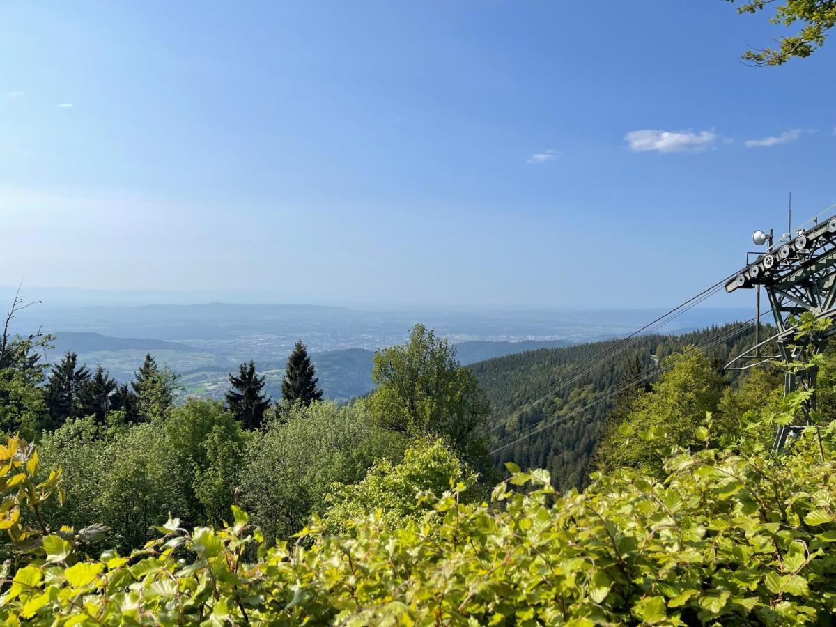 Apartment Neue Mit Whirlpool Und Sauna In Der Residenz Grafenmatt Inklusive Hochschwarzwaldcard