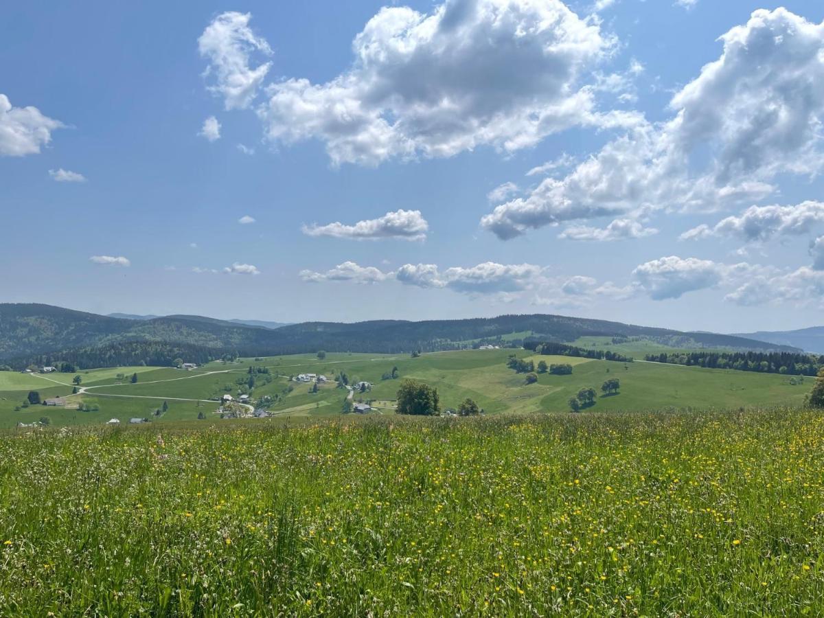 Neue Mit Whirlpool Und Sauna In Der Residenz Grafenmatt Inklusive Hochschwarzwaldcard Feldberg (Baden-Wurttemberg)